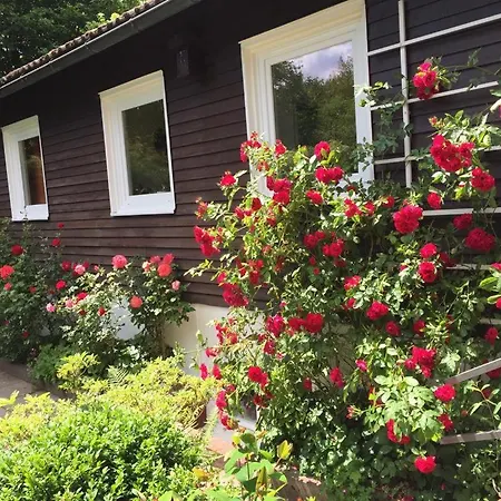 Ferienhaus - Zum Findling - Ferienhaus